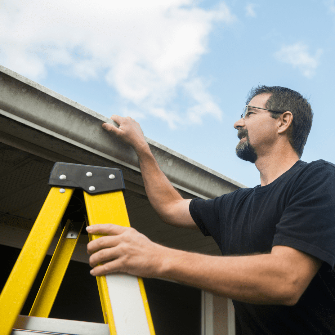 gutter cleaning
