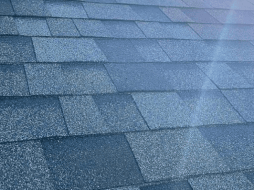 Understanding the Impact of Florida’s Sun on Roof Lifespan: Prevention Tips Homeowners Need