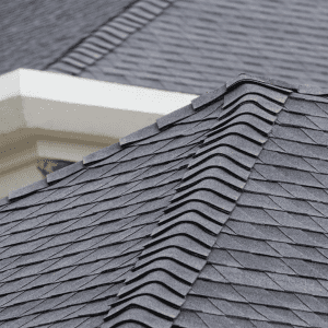 shingle roof
