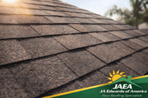 Close-up of asphalt shingles showing granules and texture under strong Florida sunlight.