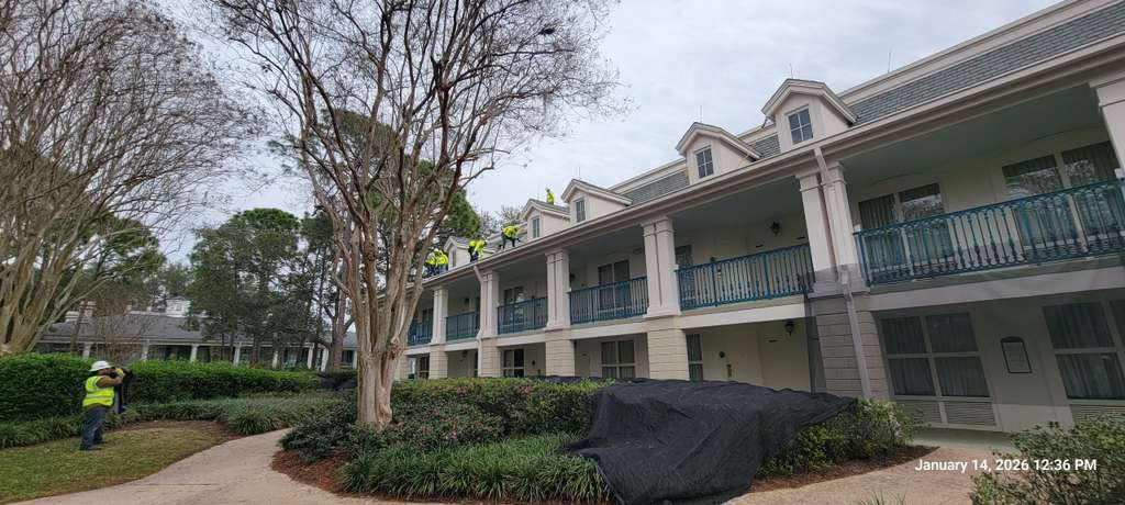 Roofers working in a Disney Resorts roof replacement project