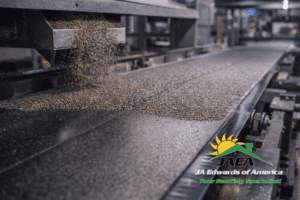 Asphalt shingles on a manufacturing line with granules being applied